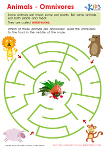 Food Webs and Food Chains Worksheet: Free Printable PDF for Children
